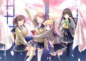 《NEW GAME!》 动漫游戏开发背后的青春物语